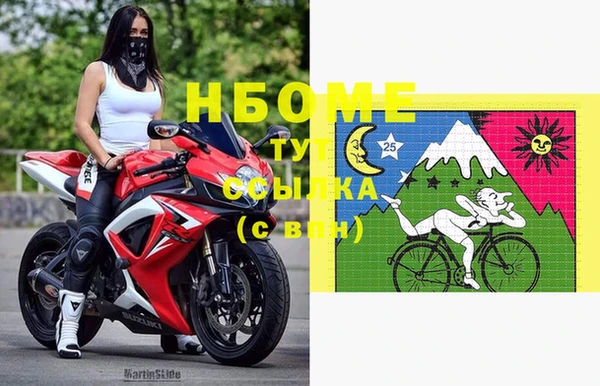 дмт Бородино