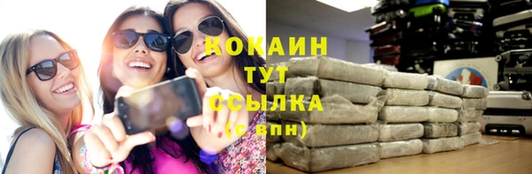 PSILOCYBIN Сосновка
