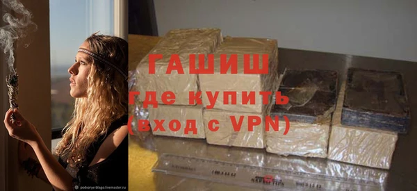 дмт Бородино