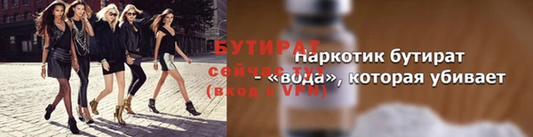 дмт Бородино