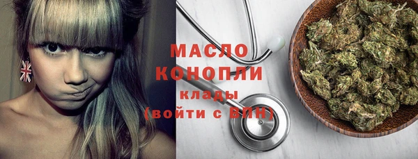 дмт Бородино