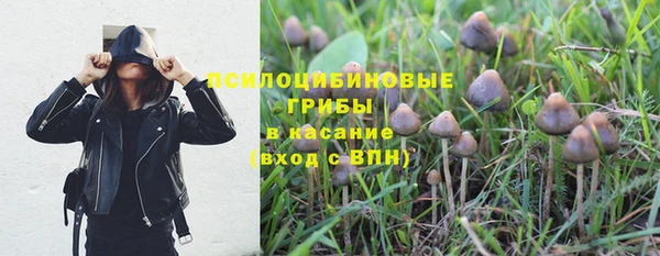 дмт Бородино