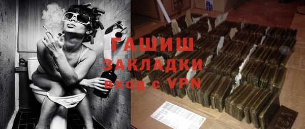 дмт Бородино