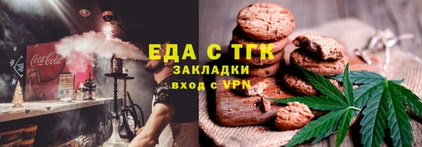 дмт Бородино