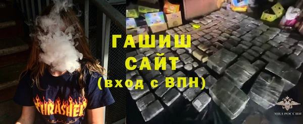дмт Бородино