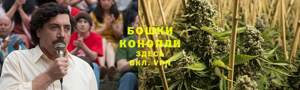 дмт Бородино