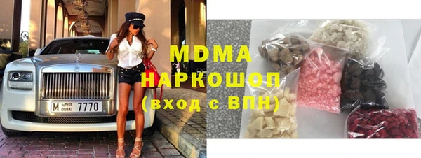 дмт Бородино