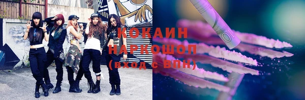 дмт Бородино